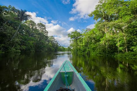  “El Curupira” - A Tale Whispered Through the Colombian Amazonian Jungle!